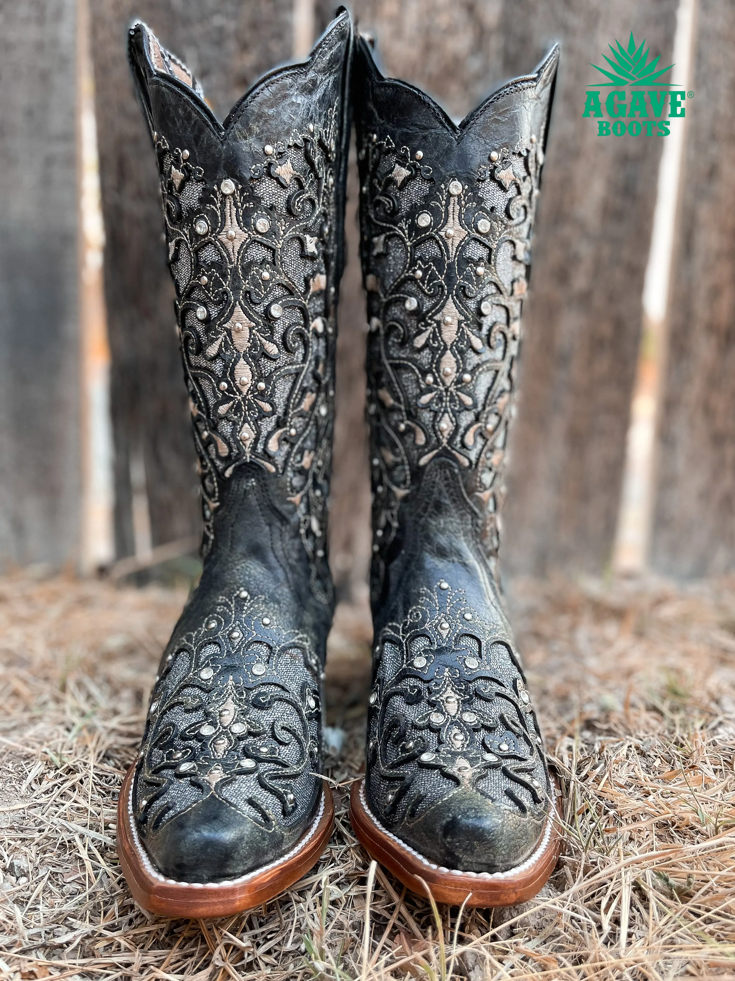 "CLARISSA" BLACK | WOMEN SNIP TOE BOOTS